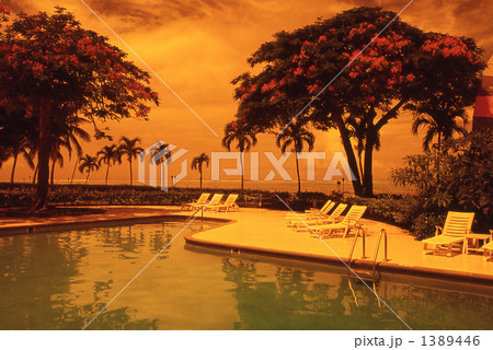 リゾートホテルのプール 1389446