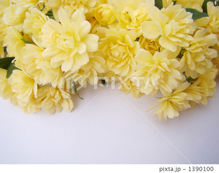 モッコウバラ 1390100