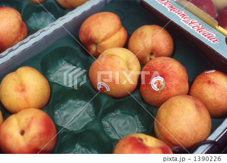 露店のアプリコット 露店のアプリコット 1390226