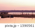 印旛沼の朝 印旛沼の朝 1390561