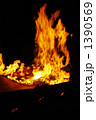 炎 炎 1390569