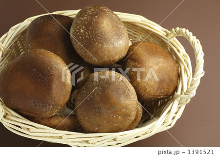 生シイタケ 1391521