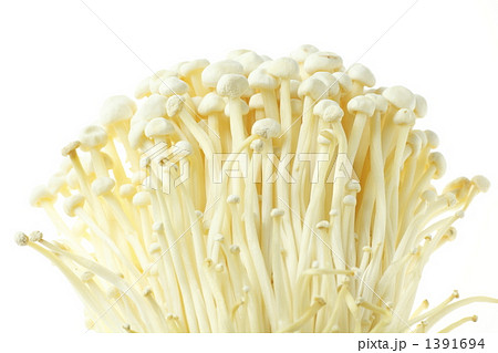 エノキタケ 1391694