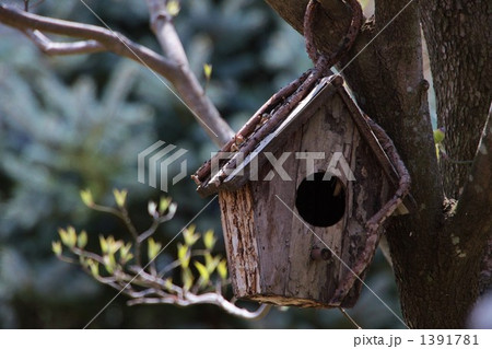 巣箱 巣箱 1391781