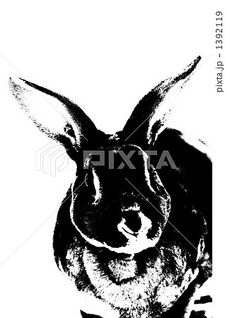 ウサギ 1392119