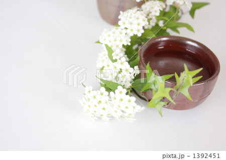 こでまり-10 1392451