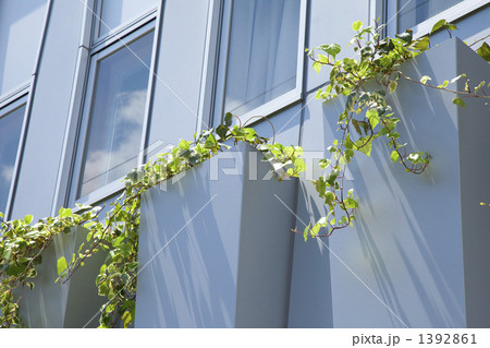 建物周辺の植栽 1392861