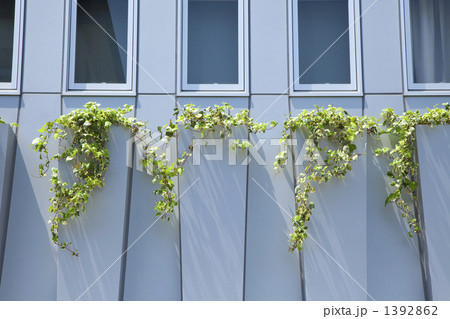建物周辺の植栽 1392862