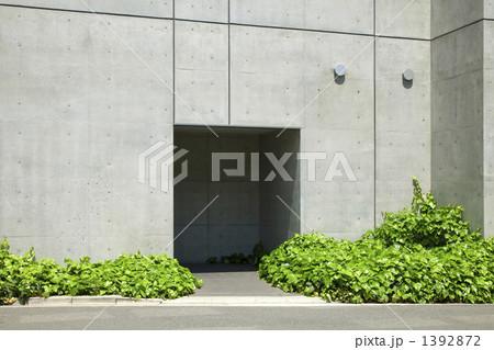 建物周辺の植栽 1392872
