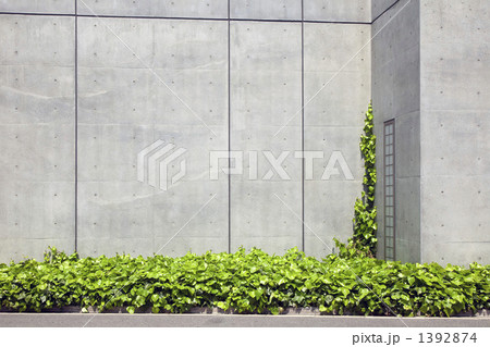 建物周辺の植栽 1392874