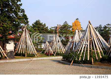 北国の雪囲い 1393475