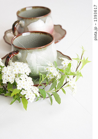 こでまり-14 1393617