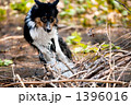 1396016