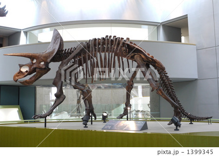 恐竜 1399345