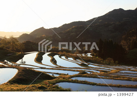 大山千枚田 1399427