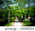 並木道 1400634