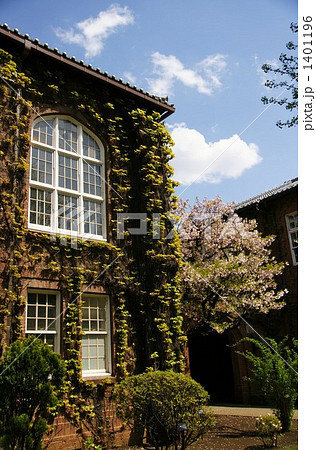 新緑の大学 新緑の大学 1401196