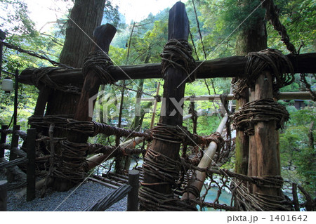 かずら橋 1401642