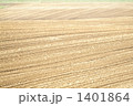 1401864