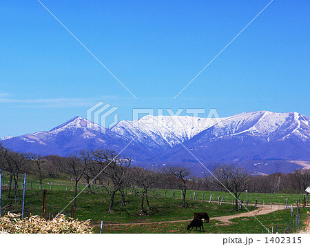 日高山脈・山麓の放牧場 日高山脈・山麓の放牧場 1402315