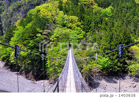 新緑の寸又峡渓谷 1403638