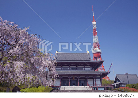 さくらとお寺と東京タワー さくらとお寺と東京タワー 1403677