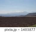 浅間山を望む嬬恋のキャベツ畑 1403877