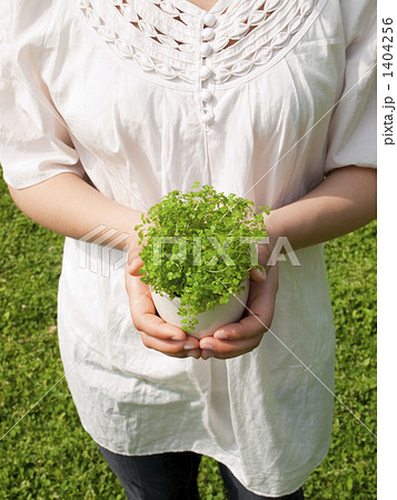 観葉植物を持つ女性 観葉植物を持つ女性 1404256