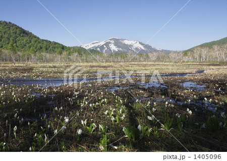 水芭蕉の季節の尾瀬ヶ原から至仏山を眺める 水芭蕉の季節の尾瀬ヶ原から至仏山を眺める 1405096