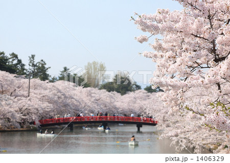 弘前公園 桜と春陽橋 1406329