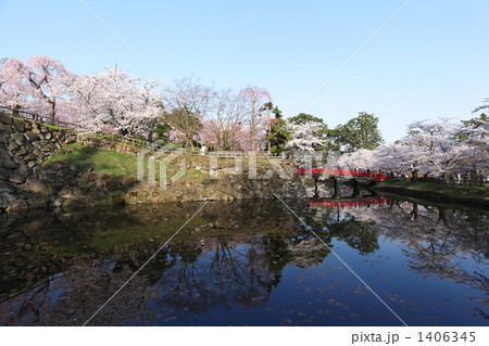 鷹丘橋と弘前公園 鷹丘橋と弘前公園 1406345