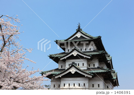 桜と弘前城 1406391