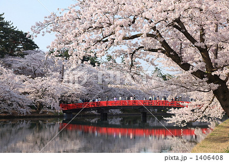 弘前公園 桜と春陽橋 1406408