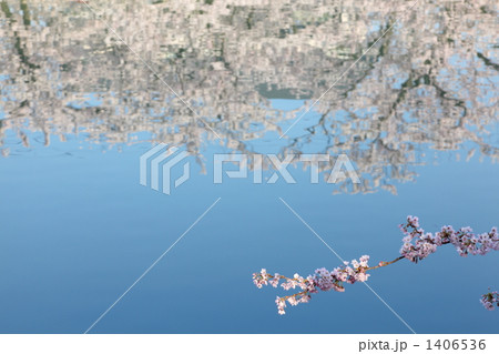 桜と水と 1406536
