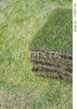 芝張り 芝張り 1406739