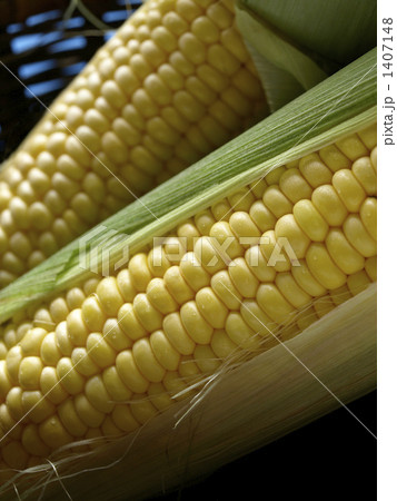 トウモロコシ 1407148