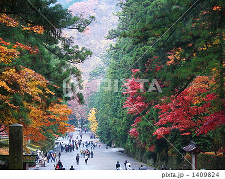 日光東照宮の参道 日光東照宮の参道 1409824