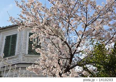 異人館の神戸華僑総会と桜 1410203