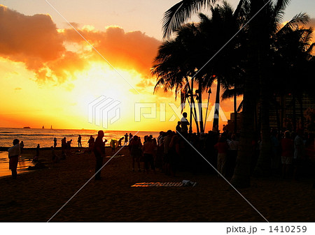 SUNSET SUNSET 1410259