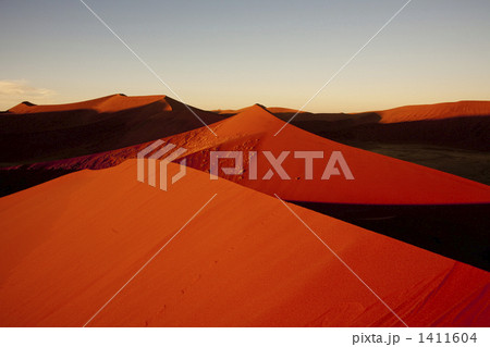 ナミブ沙漠の朝 ナミブ沙漠の朝 1411604