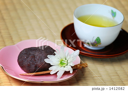 白菊 白菊 1412082