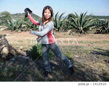 陽気な南国で 陽気な南国で 1412610
