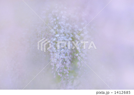 フジ 04 フジ 04 1412685