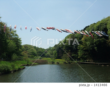鯉のぼり 1413466