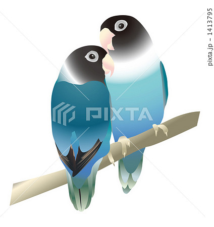 ボタンインコ ボタンインコ 1413795