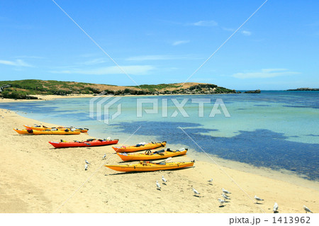 ペンギン島の入り江とシーカヤック 1413962