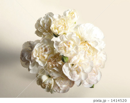白いカーネーションの花束 真上から見る の写真素材
