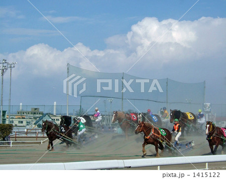 ばんえい競馬（障害物を下る） 1415122