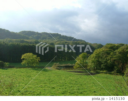 歌才ブナ林の風景 1415130