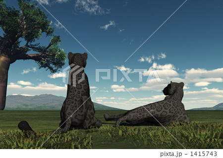 ヒョウな午後01 1415743